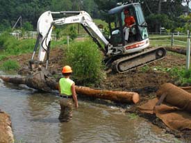 Halfmoon Creek Restoration