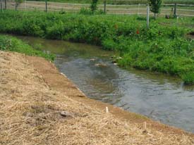 Halfmoon Creek Restoration