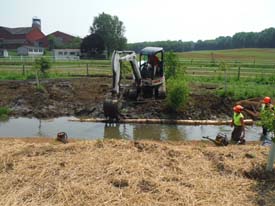 Halfmoon Creek Restoration